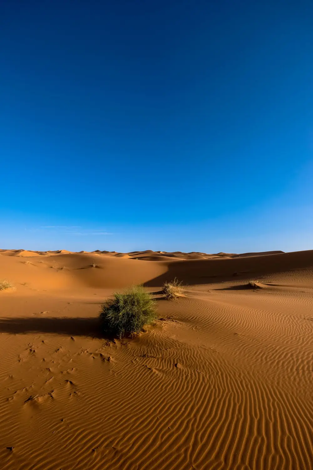 4x4 Land Cruiser being recovered from sand dunes near Merzouga